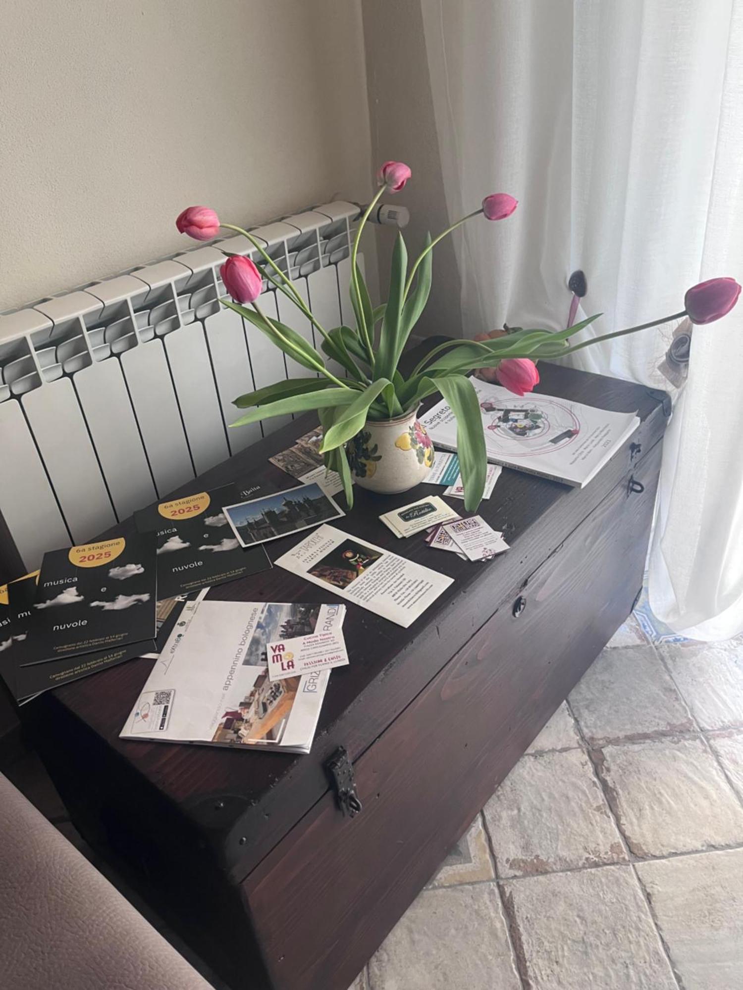 B&B Camelia Camugnano Kültér fotó